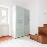 Papavero Accademia Carrara