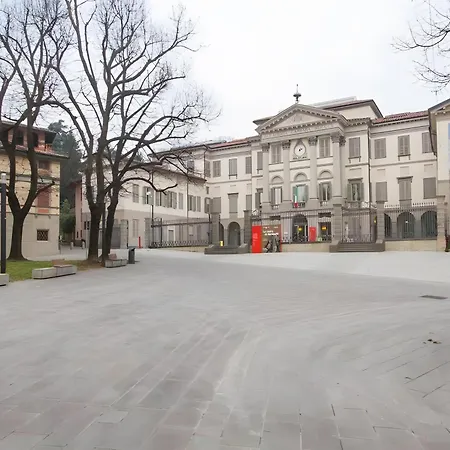 Papavero Accademia Carrara *